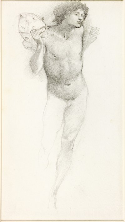 Study of Perseus for the 